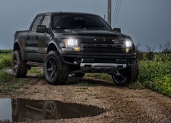 Ford, Ford F150