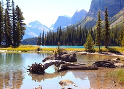 Góry, Jezioro, Las, Park Narodowy, Kanada
