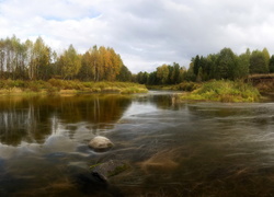 Jesień, Rzeka, Drzewa, Trawy, Kamień