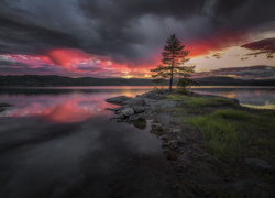 Jezioro, Chmury, Drzewo, Ringerike, Norwegia