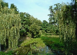 Park, Dolnyśląsk, Drzewa, Kamienie, Most