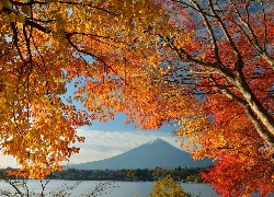 Góra, Fuji, Gałęzie, Japonia