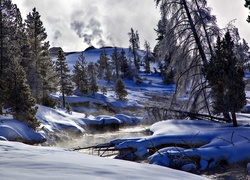 Stany Zjednoczone, Stan Wyoming,  Park Narodowy Yellowstone, Rzeka Firehole River, Zima, Drzewa