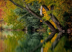 Jesień, Drzewa, Kolorowe, Liście, Jezioro, Odbicie