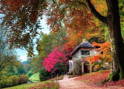 Jesień, Droga, Dom, Drzewa