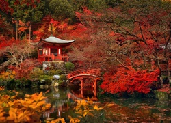 Daigo-ji , Kioto, Japonia, Świątynia, Jesień