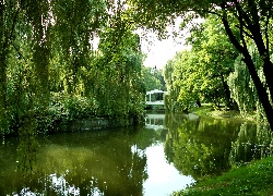 Park, Dolny Śląsk, Staw