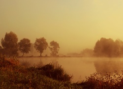 Jezioro, Świt, Mgła, Drzewa, Jesień