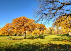 Jesień, Park, Drzewa, Ławeczka