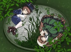 Rozen Maiden, sen, para, liście