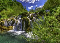 Park Narodowy Jezior Plitwickich, Chorwacja, Wodospad, Drzewa, Roślinność