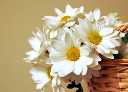 Białe, Kwiatki, Kosz