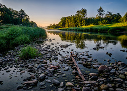 Rzeka, Drzewa, Kamienie