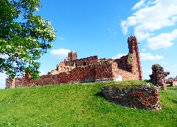 Budowle, Zamek, Radzyń