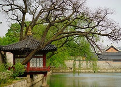 Pałac, Korea, Południowa, Drzewo, Jezioro