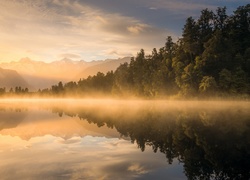 Las, Drzewa, Mgła, Jezioro