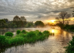 Jezioro, Drzewa, Wschód, Słońca, Roślinność