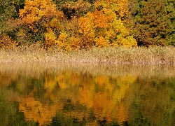 Jesień, Jezioro, Drzewa, Odbicie