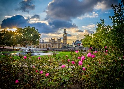 Anglia, Londyn, Fontanna, Pałac Westminsterski, Big Ben