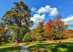 Jesień, Park, Drzewa, Ścieżka