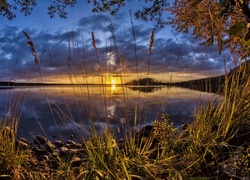 Jezioro, Szuwary, Zachód słońca