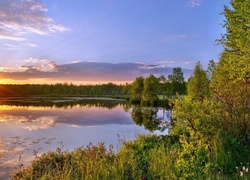 Jezioro, Las, Zachód słońca