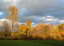 Jesień, Kolorowe, Drzewa