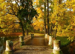 Park, Jesień, Drzewa, Mostek