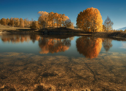 Jesień, Jezioro, Las, Drzewa