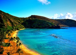 Morze, Hawaje, Plaża, Palmy, Wzgórza