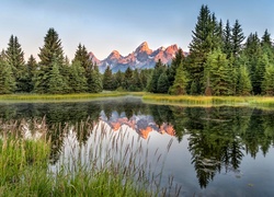 Stany Zjednoczone, Stan Wyoming, Park Narodowy Grand Teton, Rzeka Snake River, Góry Teton Range, Odbicie, Drzewa