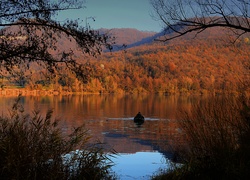 Jezioro, Jesień, Ponton, Krzewy