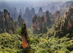 Zhangjiajie National Forest Park, Hunan, Chiny, Las, Skały