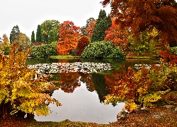 Park, Staw, Jesień