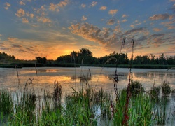 Jezioro, Zachód słońca, Trawy, Drzewa