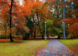 Polska, Gdańsk, Park Steffensa, Jesień, Drzewa, Alejka, Ścieżka, Droga