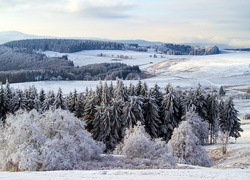 Zima, Śnieg