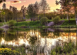 Park, Staw, Drzewa, Schody, Rośliny, Odbicie
