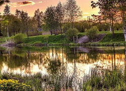 Park, Staw, Drzewa, Schody, Rośliny, Odbicie