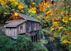 Młyn Cedar Creek Grist Mill, Rzeka, Drzewa, Las, Woodland, Stan Waszyngton, Stany Zjednoczone