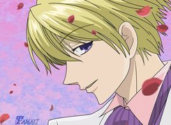 Ouran High School Host Club, facet