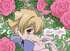 Ouran High School Host Club, pluszak, twarz, kwiaty