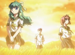 Onegai Twins, ludzie, polana