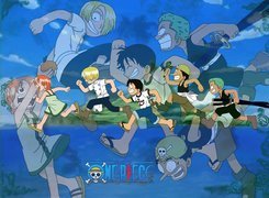 One Piece, ludzie