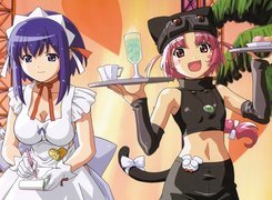 ludzie, sukienka, Nurse Witch Komugi