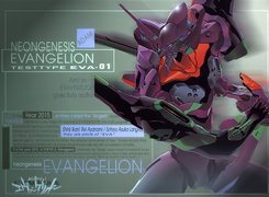 Neon Genesis Evangelion, postać, napisy