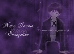 Neon Genesis Evangelion, postać, napisy