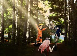 Naruto, ludzie, las