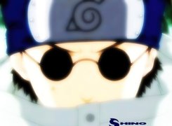 Naruto, shino, postać