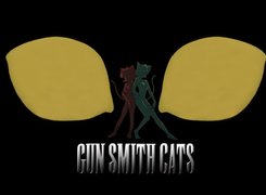 Gunsmith Cats, postacie, napis